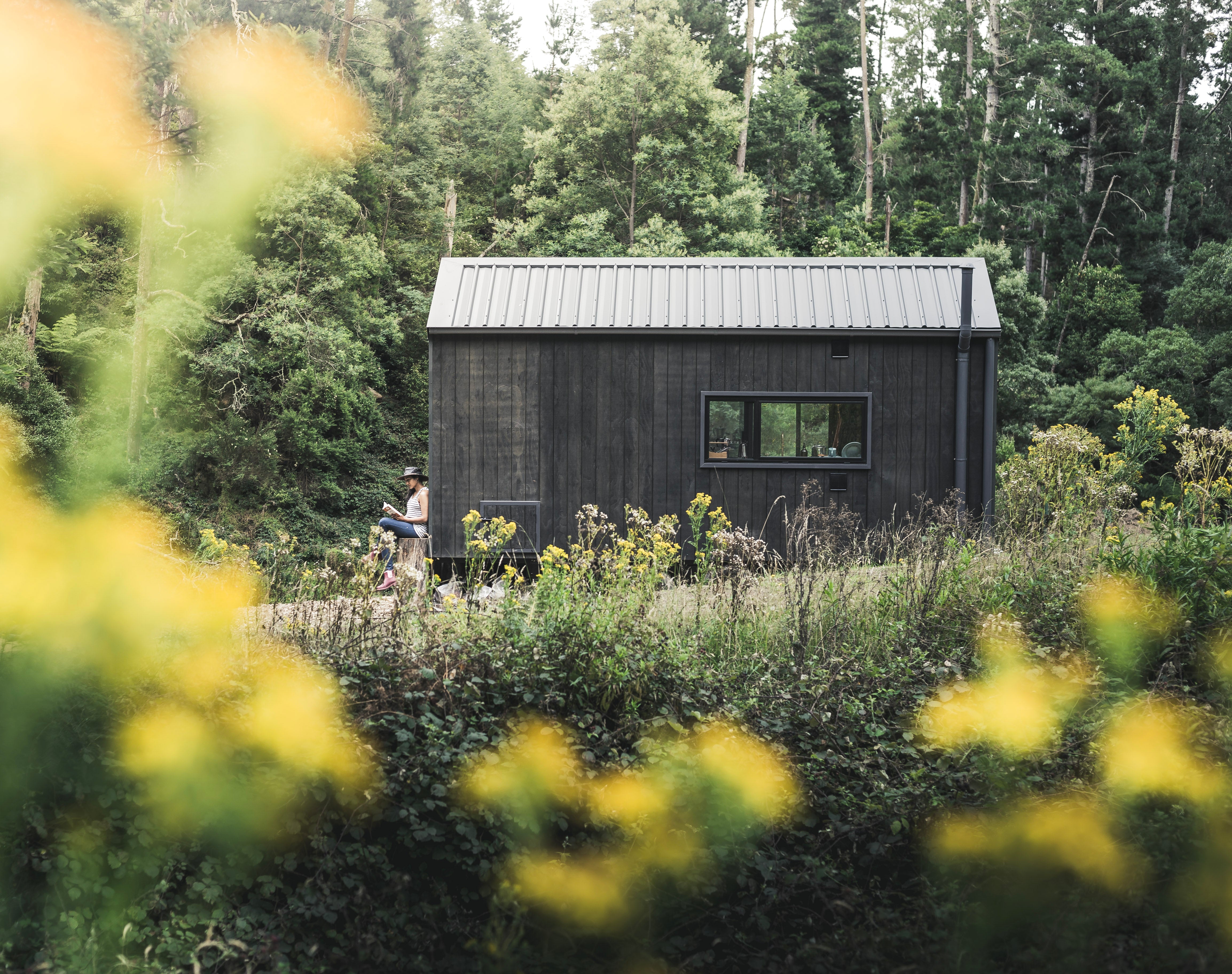 A small black building in the woods.