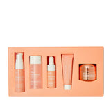 Dullness Defying Minis